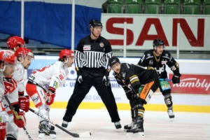TowerstarsCrimmitschau15Nov10