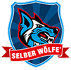 logo selb logo selb