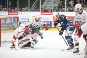 (Ravensburg Towerstars) (Eisbaeren Regensburg)