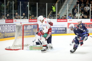 (Ravensburg Towerstars) (Eisbaeren Regensburg)