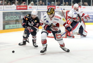 (Ravensburg Towerstars) (EHC Freiburg)