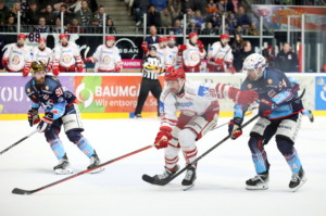 (Ravensburg Towerstars) (EV Landshut)