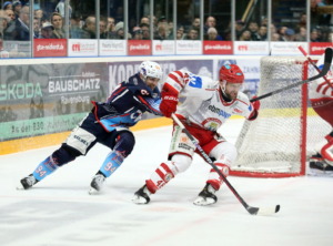 (Ravensburg Towerstars) (EV Landshut)