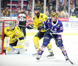 (Ravensburg Towerstars) (Krefeld Pinguine)