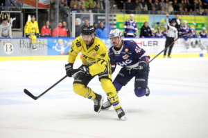 (Ravensburg Towerstars) (Krefeld Pinguine)