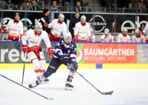 (Ravensburg Towerstars) (EC Bad Nauheum)