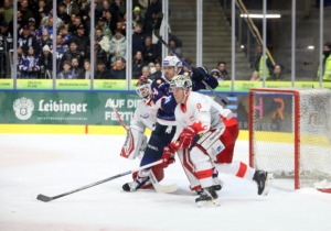 (Ravensburg Towerstars) (EC Bad Nauheum)