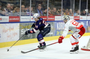 (Ravensburg Towerstars) (EC Bad Nauheum)